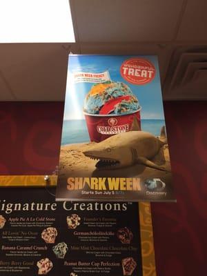 Shark Week Sweet Cream