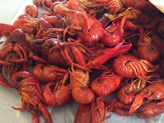 First crawfish of the season $5.99/lb