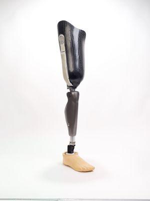 International Prosthetics and Orthotics