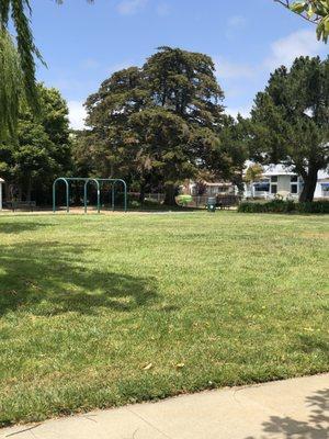 Grass and swings, walkways.