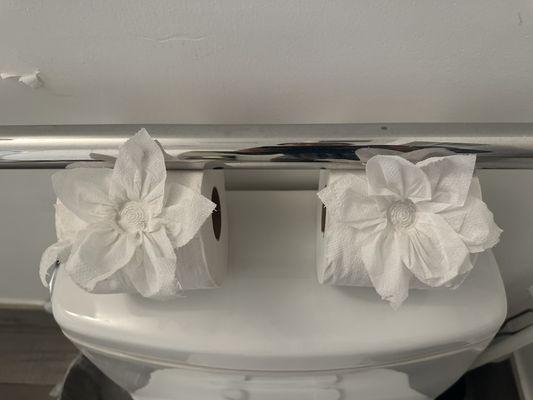 Beautiful toilet paper