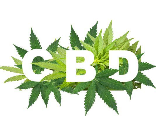 CBD = Cannabidiol