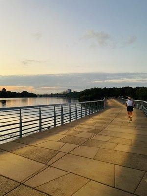 The Boardwalk Trail at Lady Bird Lake