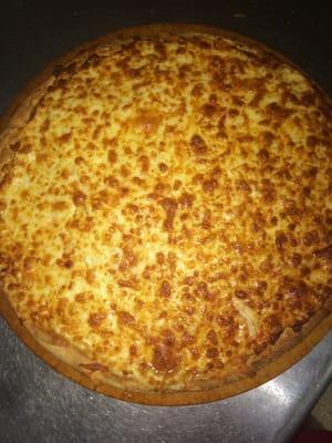 Our delicious large pizza!