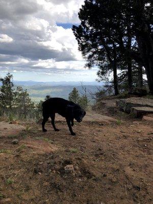 Camping  with Mambo and Storm