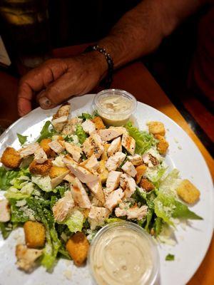 Grilled chicken salad