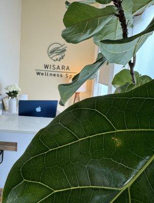 Wella Wellness Spa