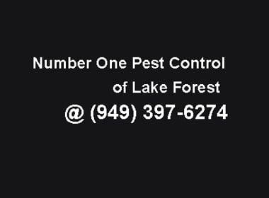 Number One Pest Control of Lake Forest