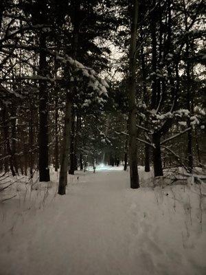 Snowshoe trail