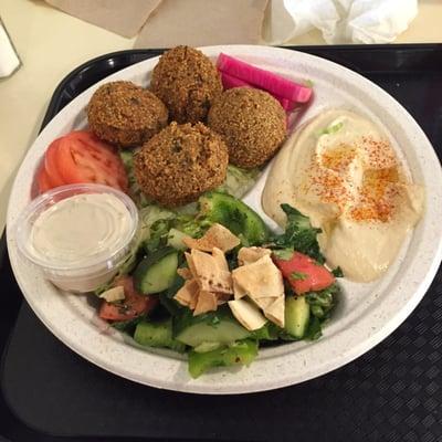 Falafel plate with hummus and fattoush salad!