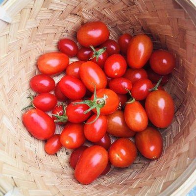 Just like a bowl for fresh cherrie tomatoes, we will give your home that extra special shine that only organic cleaning products can!