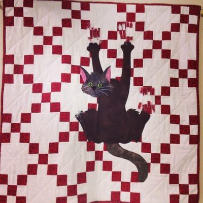 Office cat quilt (made by one of the doctors)