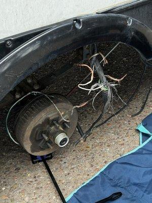 Tire explosion rips electrical system