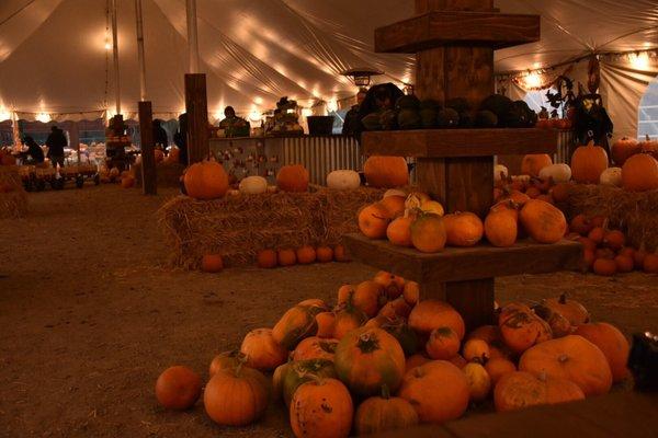 Mickelson Pumpkin Patch