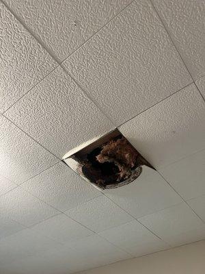 hole in tiles in child's room