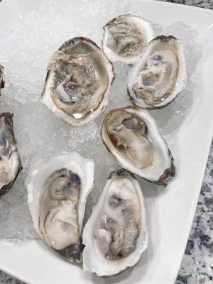 Oysters