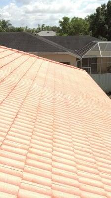 Roof after soft wash cleaning