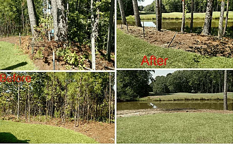 Land/Brush Cleaning