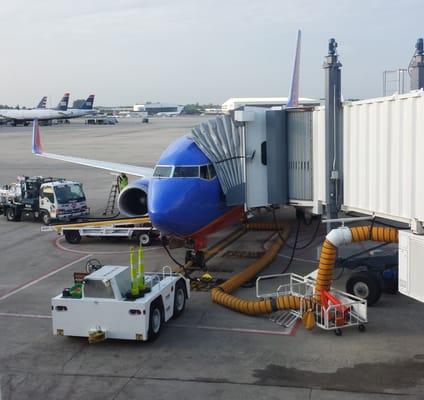 My Southwest flight at the gate in Charlotte airport