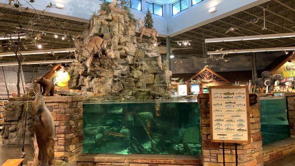 Bass Pro Shop Fishtank