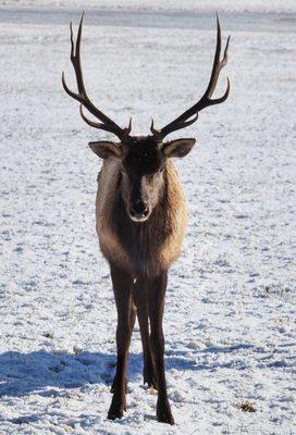 Jewell Meadows Wildlife Area