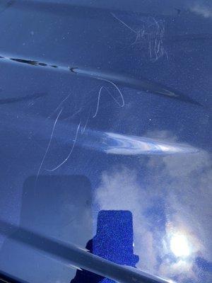 Scratched my car and even cleaners says it's a new scratch but they said no evidence dont trust