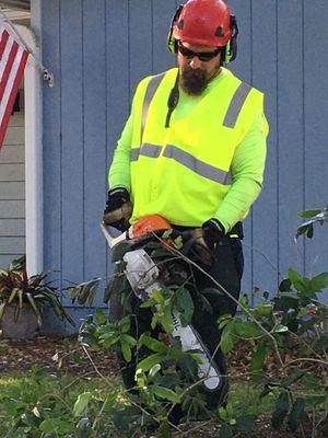 Tree Tech Tree Service, Inc.