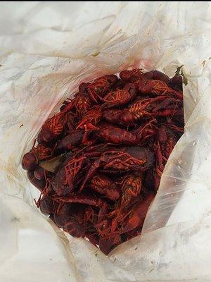 A bag of 6lb worth of crawdads