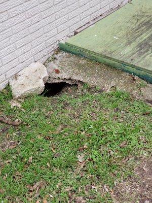 Skunk hole at apartments