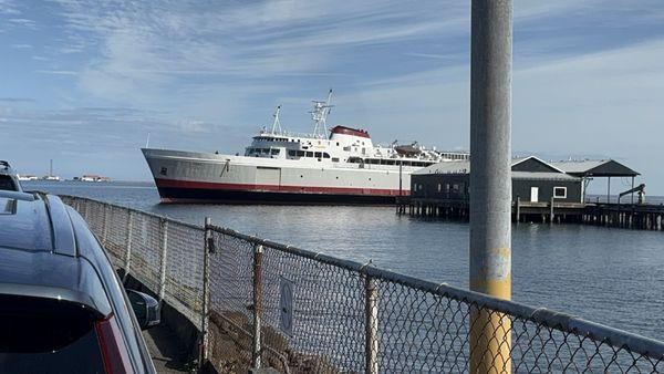 M/V Coho