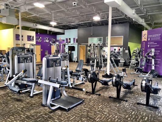 Freshly renovated gym with all the bells and whistles one could ask for.