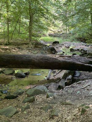 One of many small streams in the park.