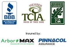 Certified Arborists, Insured, BBB Accredited Business