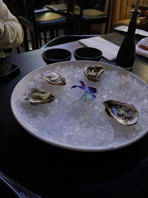 Oysters