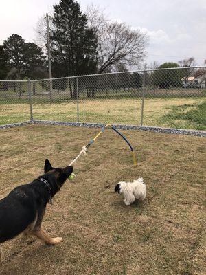 Heavy duty tether tug. Play day!