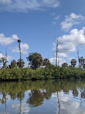 Kayak Nature Adventures