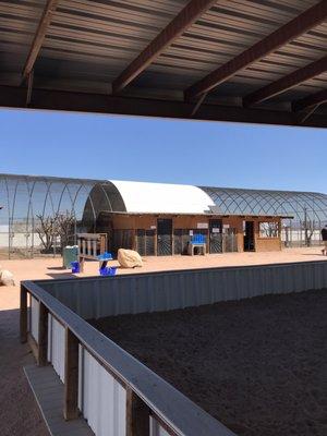 Lorikeet enclosure