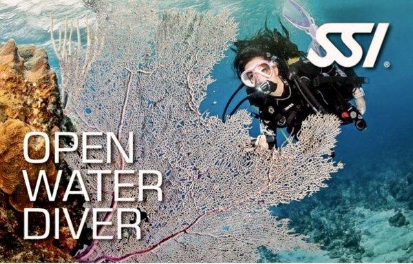 Become a Certified Open Water Scuba Diver!