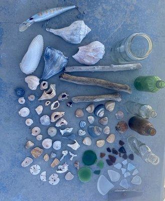 The treasures we collected at the beach!