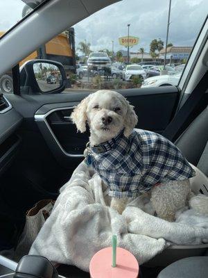 Carson loved car rides and he had is very own car seat