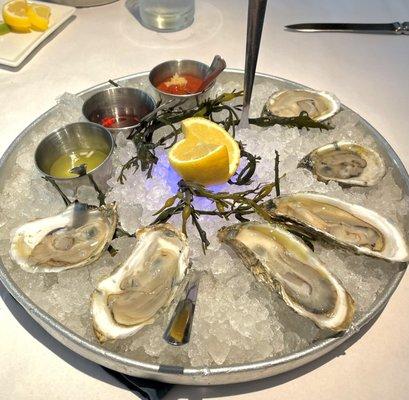 Blue Point oysters