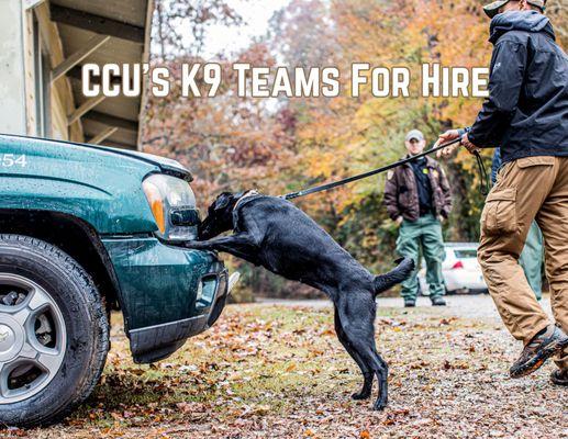 We have drug detection, explosives detection, tracking, security, and more K9 teams available for personal or business use.