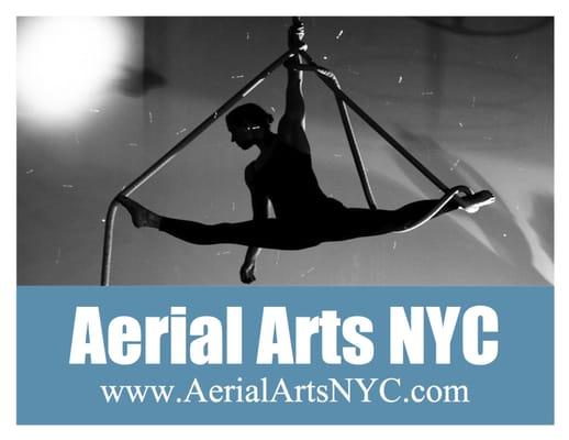 Kristin Young Co-Owner of Aerial Arts NYC