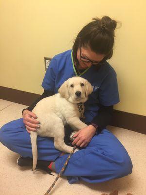 My puppy Walter loves the vet now!! He doesn't even care that he's getting a shot!