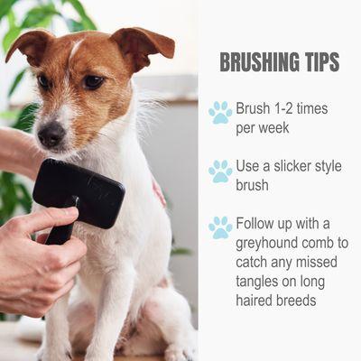 Brushing is very important for your dog's coat. if you need a Slicker brush we have them in stock, Brushing is included in our grooms.