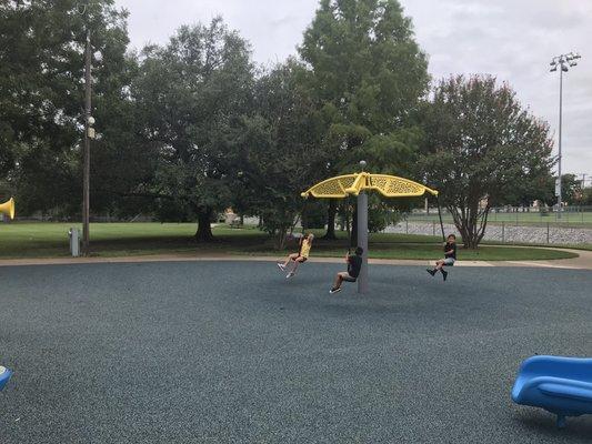 Carousel swings