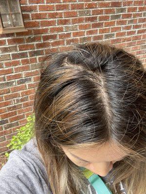 Brassy balayage result