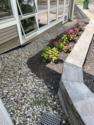 New flowers plated over the top of a rock bed and mulched. No bed barriers - just shoddy work!