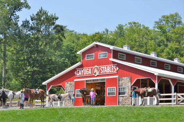 The Equestrian Center features a petting zoo that includes miniature stables with barnyards for our goats, sheep, donkey and miniature horse