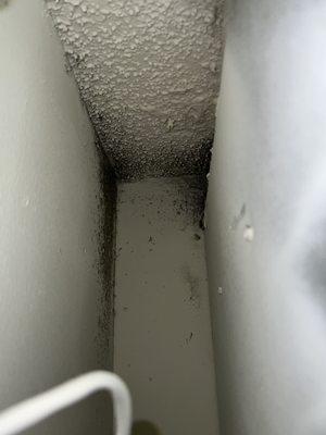 Mold in the utility closet